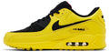 Nike Air Max 90 Zest T90 Laser