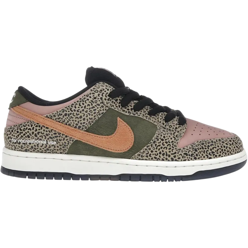 Nike SB Dunk Low Arts-Rec