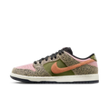 Nike SB Dunk Low Arts-Rec